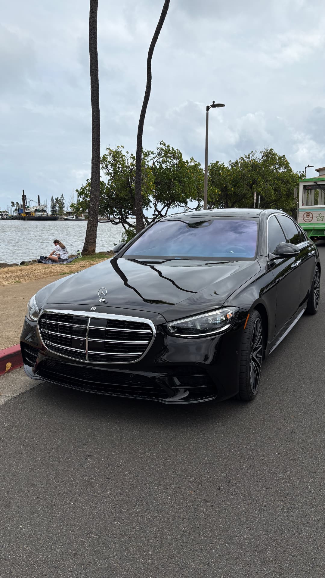MERCEDES-BENZ S 580 — Chrome grille and hood ornament