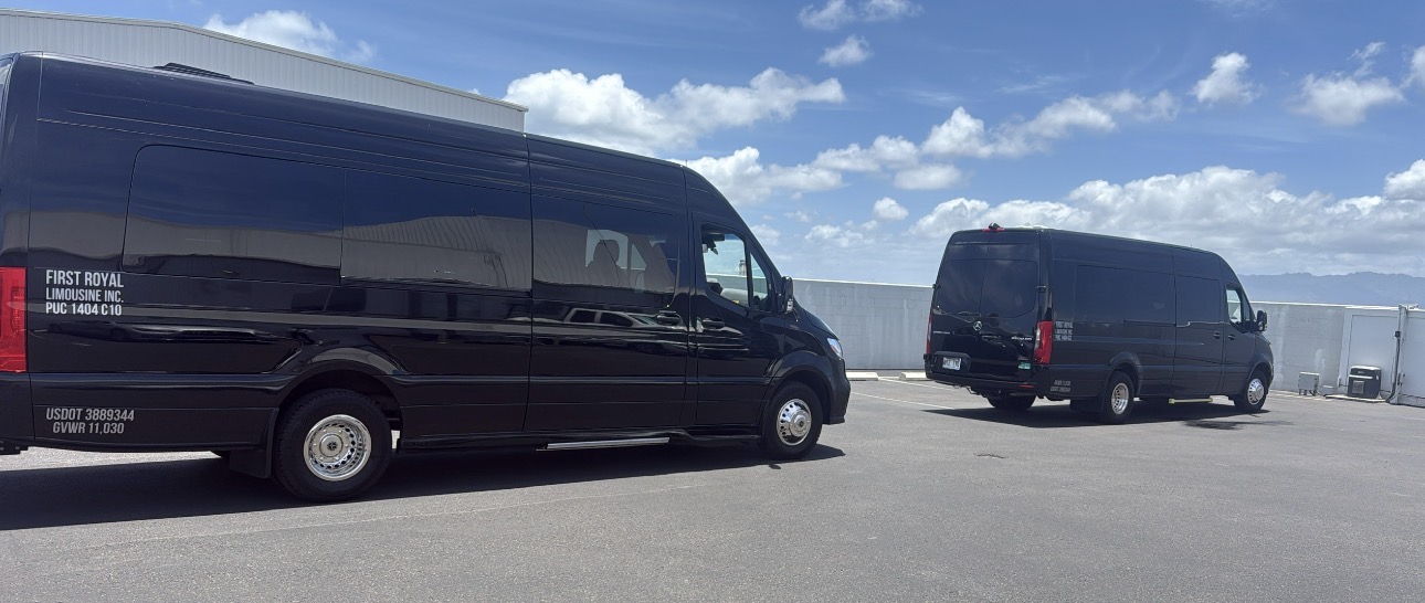 Two black Mercedes Sprinter vans parked side by side under a blue Hawaii sky