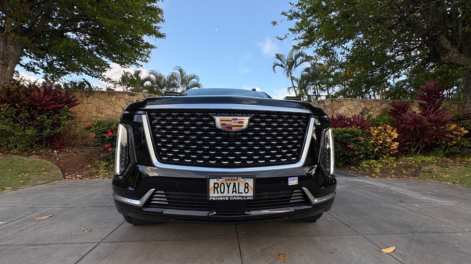 AURA black Cadillac Escalade, front view