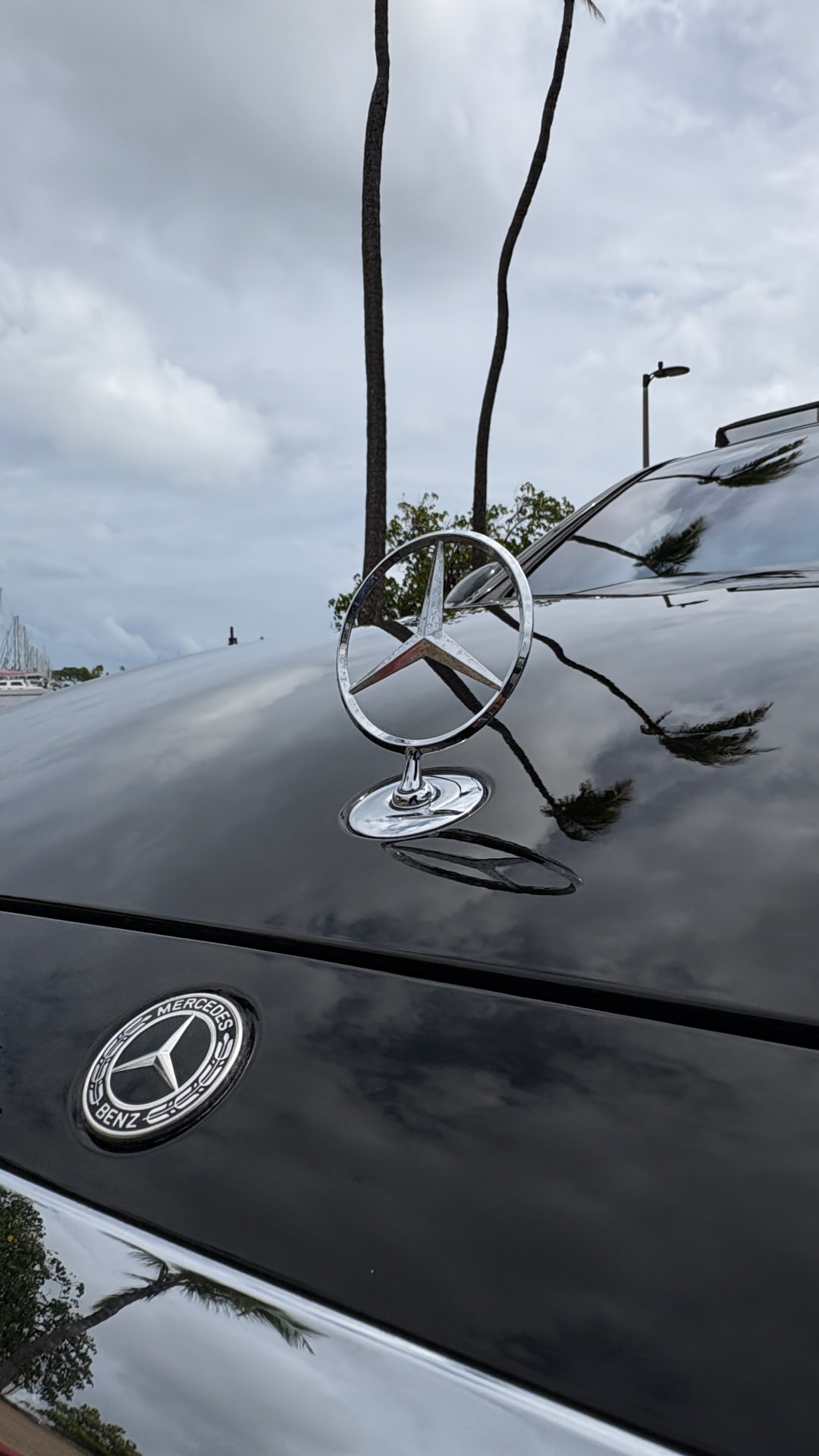 MERCEDES-BENZ S 580 — Standing star