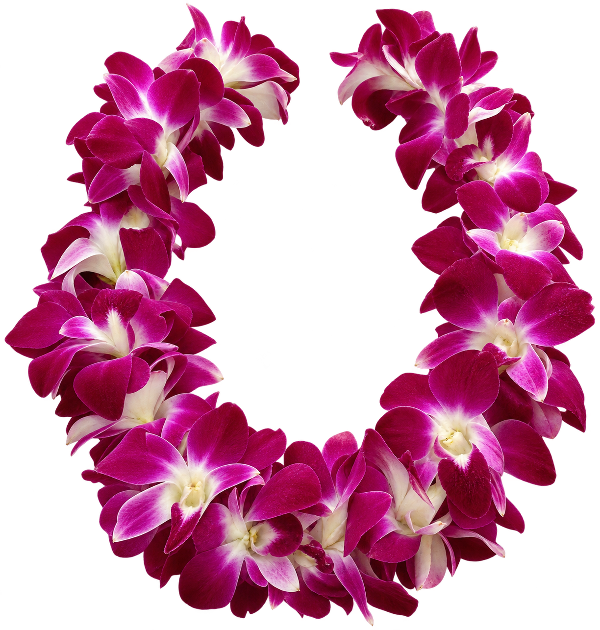 Fresh orchid lei greeting